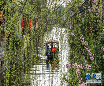  春和景明古荡口 