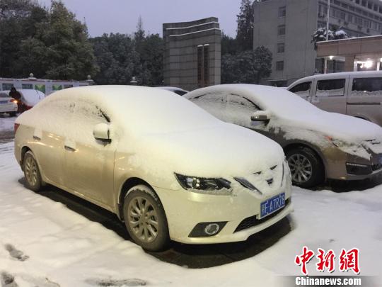 襄阳普降中到大雪，地面白雪覆盖。　姚敏 摄