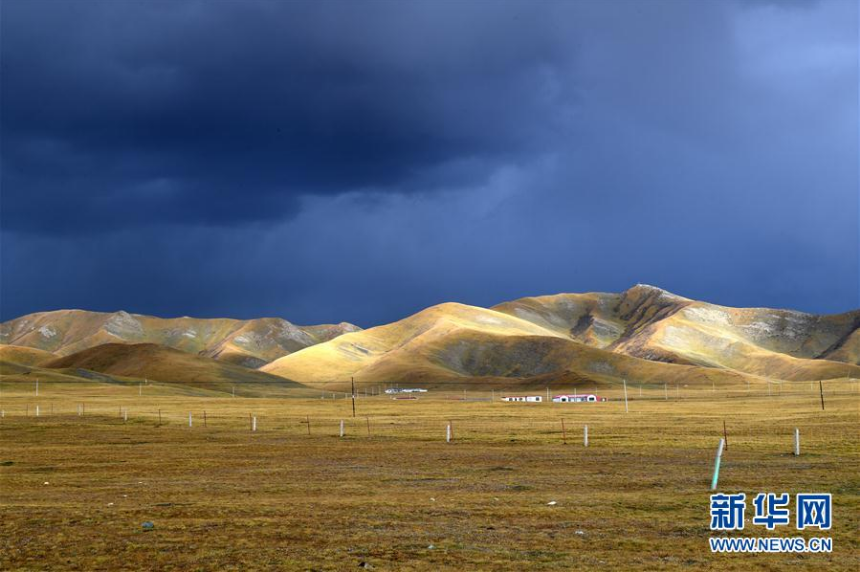 　　这是10月1日在青海省海北藏族自治州祁连县拍摄的一处牧场。深秋时分，层林尽染的黑泉水库，诗画田园的祁连，云卷云舒的岗什卡雪山，令人赞叹的胡杨林……这里总有不同的美景使人沉醉，却又惊喜连连，毫无重复疲劳之感——这就是秋日里的大美青海。新华社记者 王博 摄