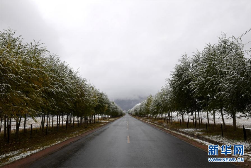 　　这是10月2日在青海省海北藏族自治州祁连县拍摄的雪景。深秋时分，层林尽染的黑泉水库，诗画田园的祁连，云卷云舒的岗什卡雪山，令人赞叹的胡杨林……这里总有不同的美景使人沉醉，却又惊喜连连，毫无重复疲劳之感——这就是秋日里的大美青海。新华社记者 王博 摄
